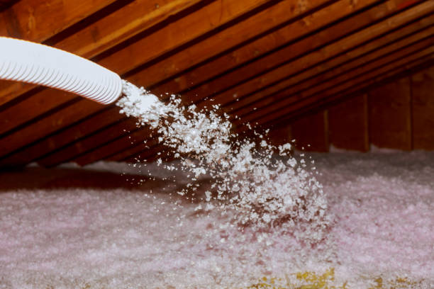 Best Basement Insulation  in Renova, MS