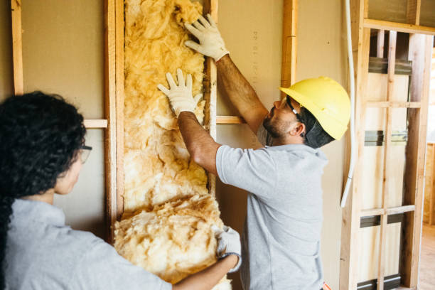 Best Garage Insulation  in Renova, MS