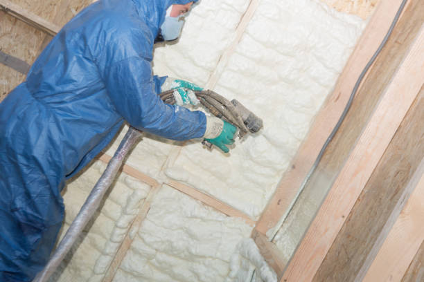 Best Spray Foam Insulation  in Renova, MS